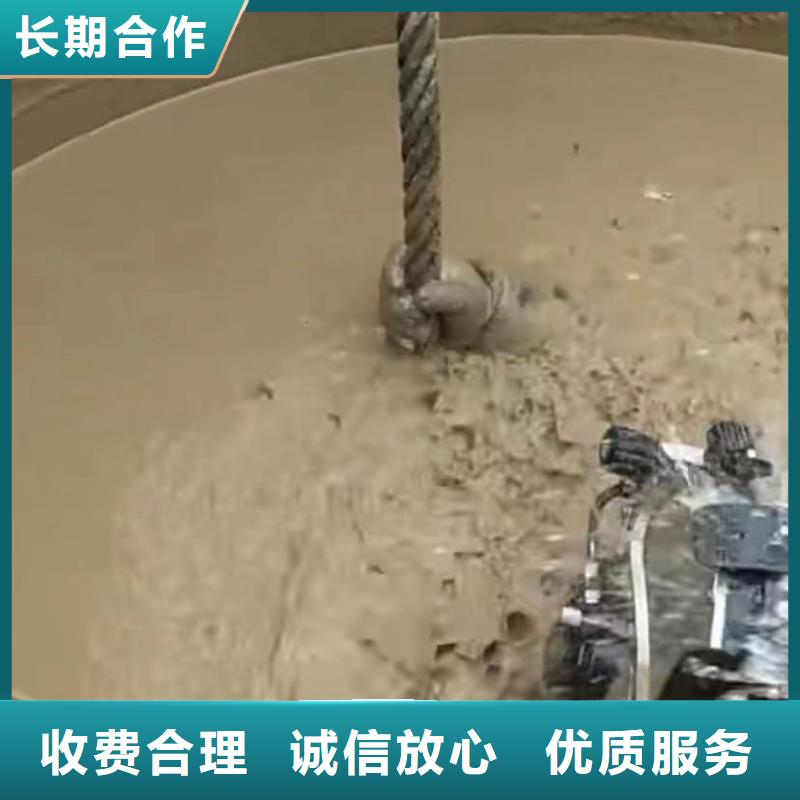 水下闸门清理2024专业的团队