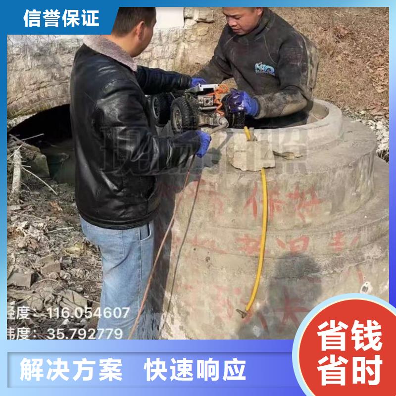 蛙人服务专业生产厂家公司