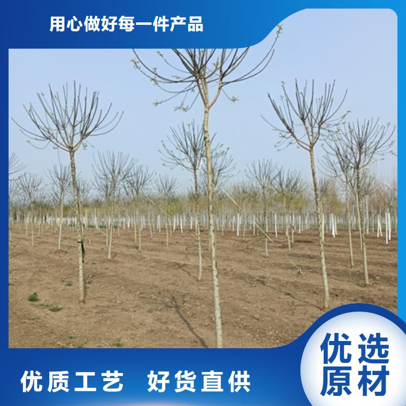 法桐能满足您的需求本地经销商