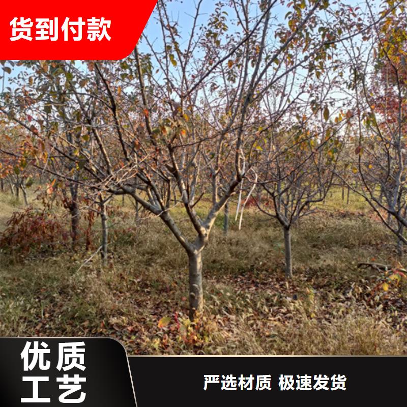 法桐企业-实力雄厚做工精细