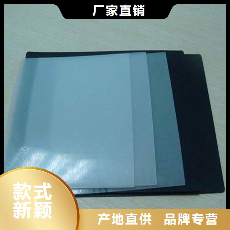 三布两膜复合土工膜当地公司