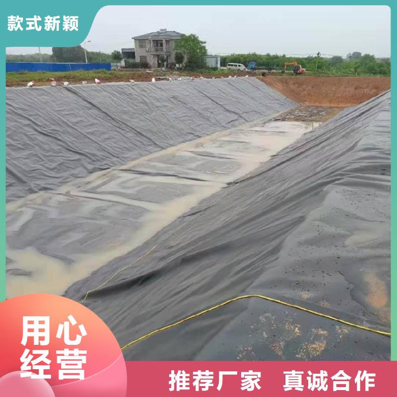 防渗膜厂家-哪里有卖的卓越品质保障
