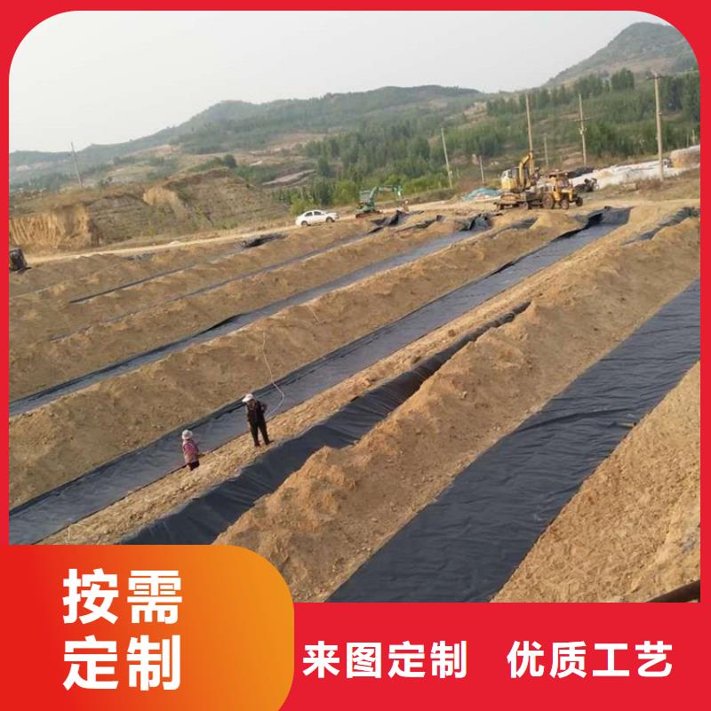 一布一膜土工膜-聚乙烯防渗膜本地生产厂家