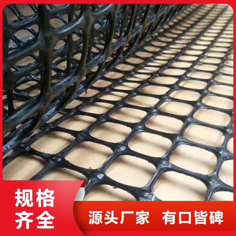 涤纶土工格栅公司代理当地品牌