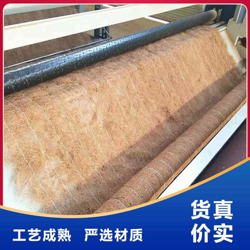 抗冲生物毯-加筋复合抗冲生态毯-河道环保草毯本地公司
