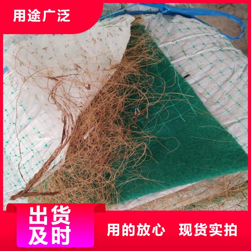 生态环保草毯施工规范当地货源