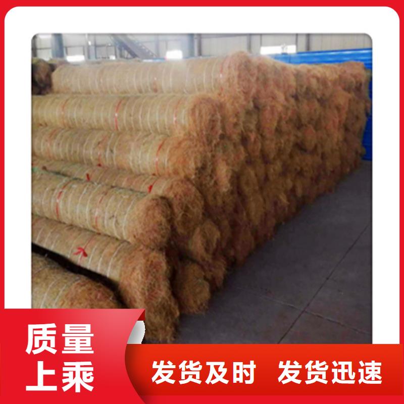 植生椰丝毯-抗冲植物毯本地经销商