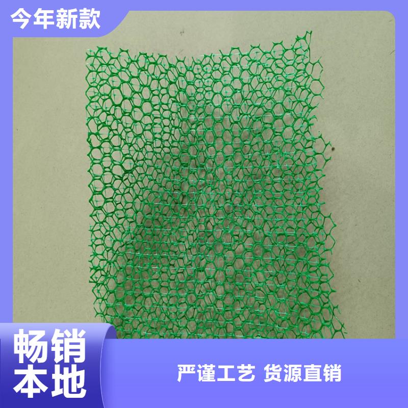 三维加筋网垫-绿色三维土工网垫当地经销商