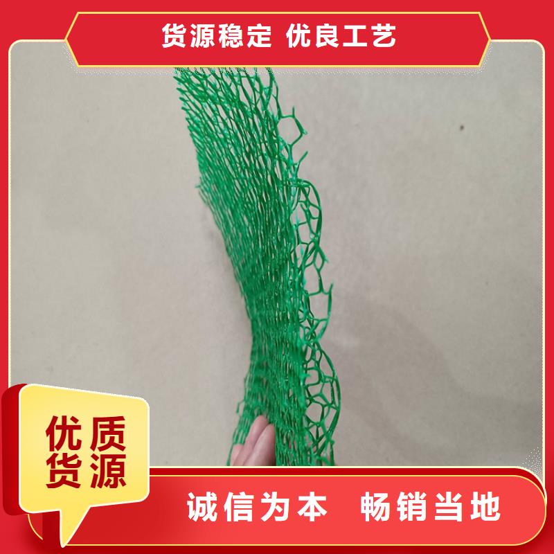三维土工网垫公司动态大厂生产品质