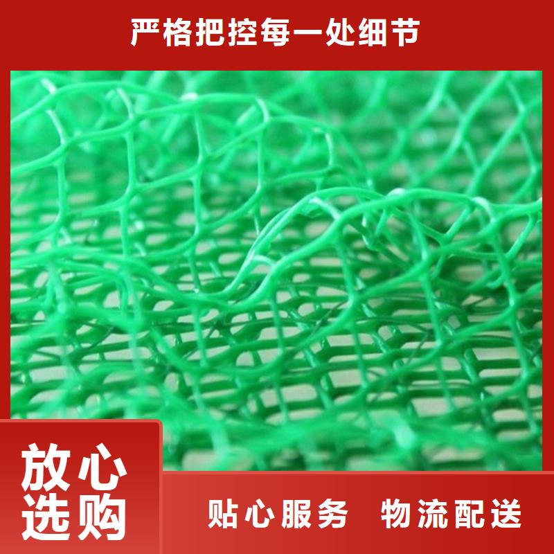 三维植被网-EM3三维固土网垫严谨工艺