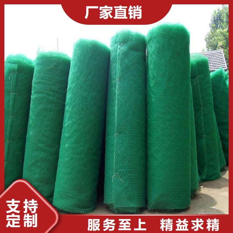 三维土工网垫-EM4三维固土网垫研发生产销售
