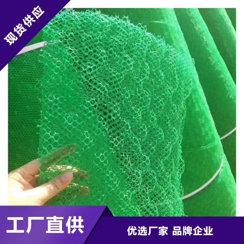 EM2塑料加筋护坡植草网垫支持批发零售
