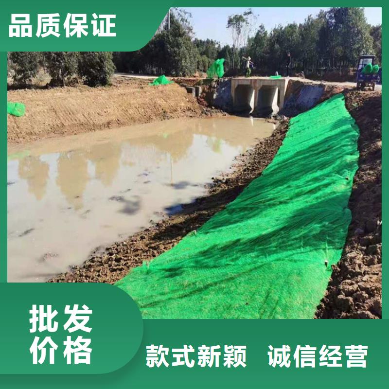 三维土工网垫-EM3三维植被网产品优势特点