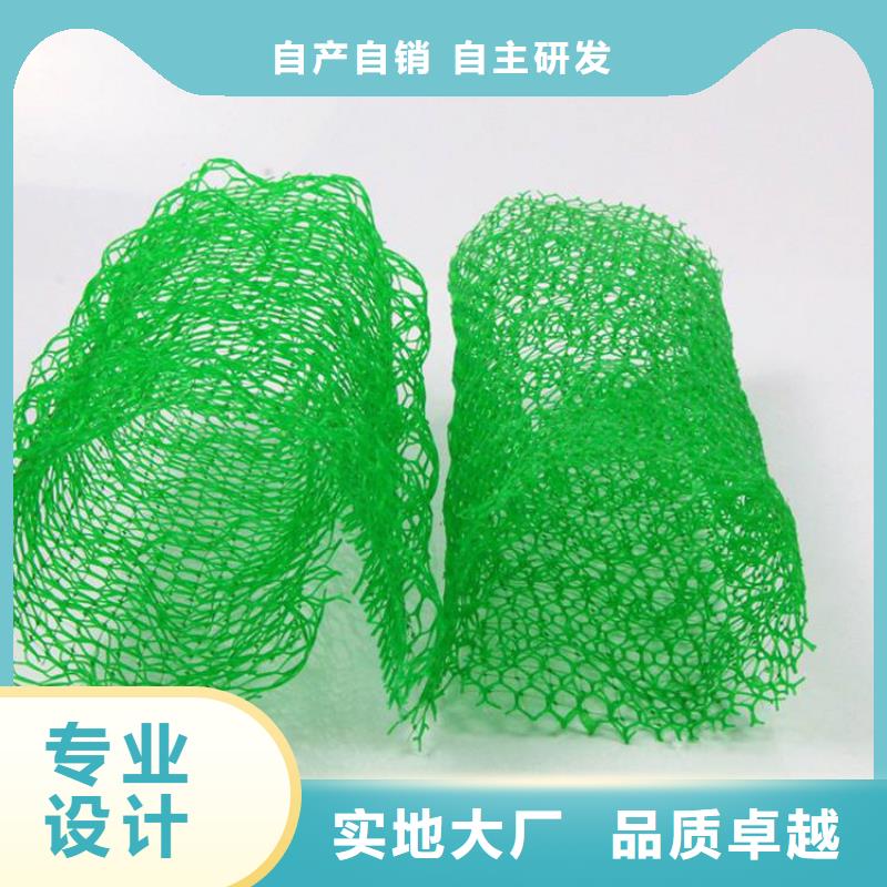 三维固土网垫EM5三维护坡植草网垫送货上门