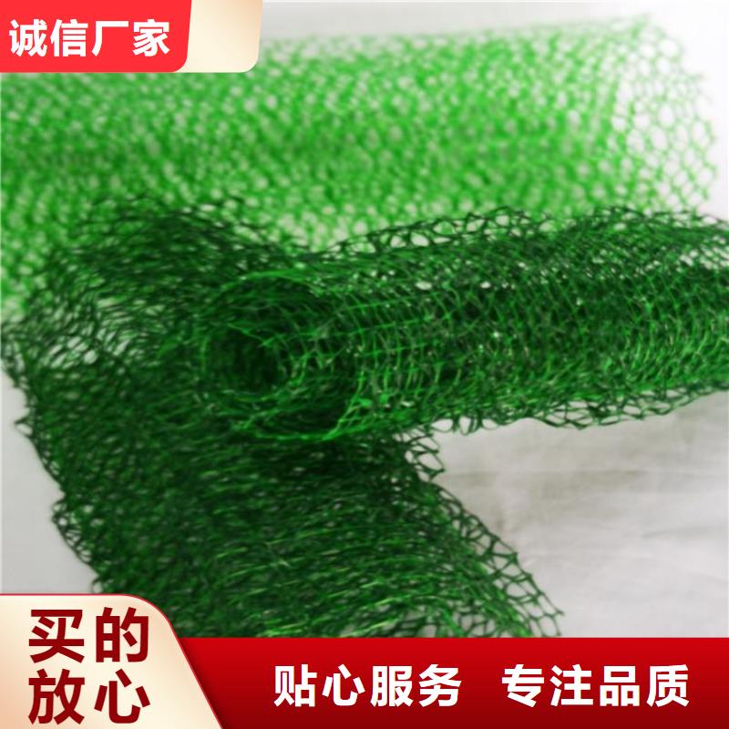 EM3三维植被网-EM2三维植被网制造厂家