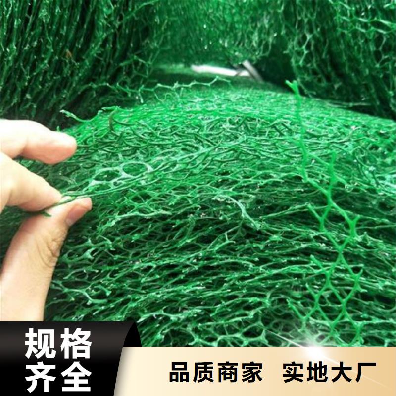 三维土工网垫-EM3三维土工网垫保障产品质量