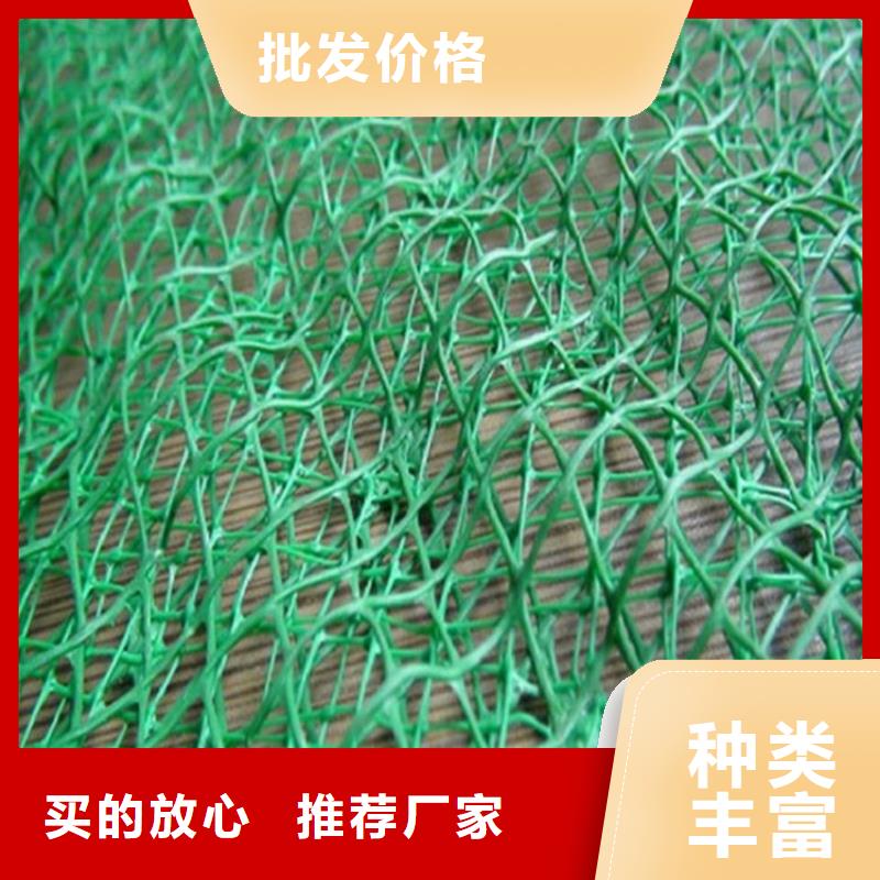 三维固土网垫EM4三维护坡植草网垫当地公司