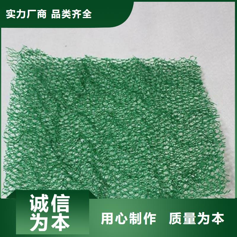 EM3三维植被网本地经销同城生产厂家