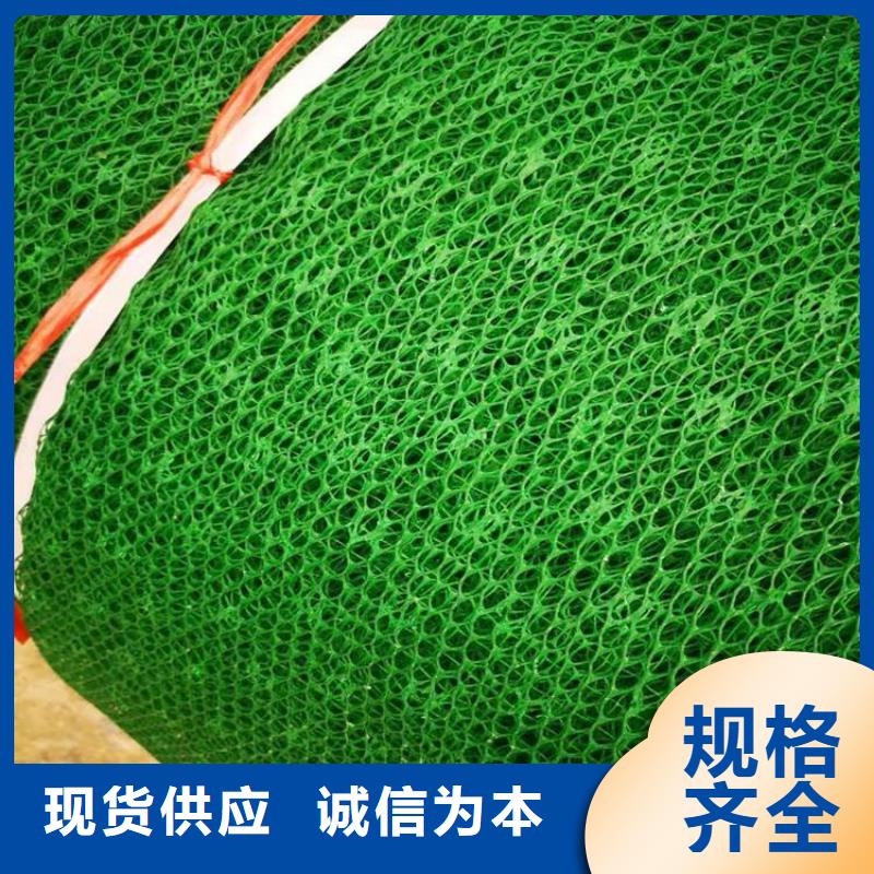 EM2三维植被网-3层4层三维植被网欢迎来电咨询