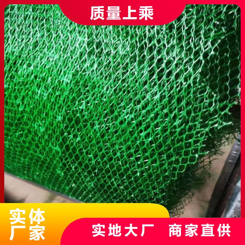 EM3三维植被网品质稳定当地品牌