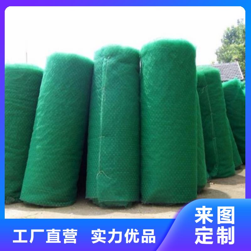 三维植被网-EM2三维植被网当地供应商