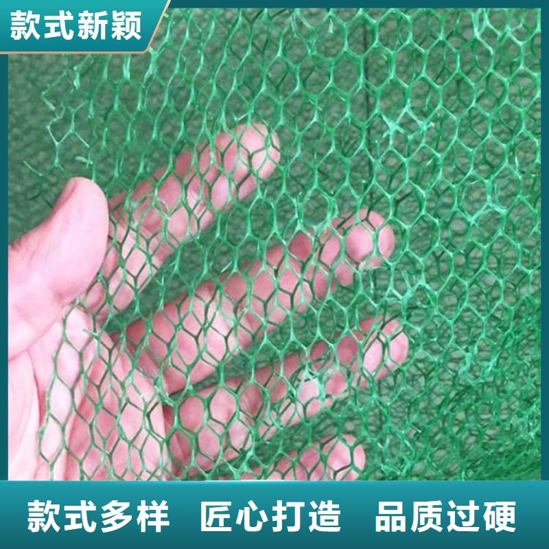 三维固土网垫EM4三维护坡植草网垫型号全价格低