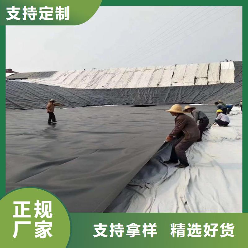 藕池-HDPE防渗膜防渗-渗排水同城货源