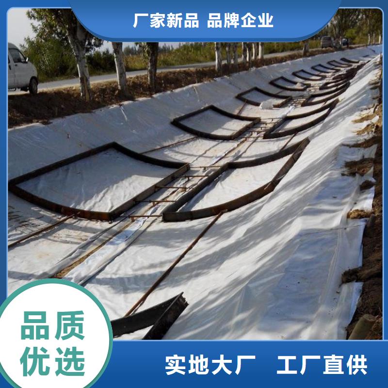 HDPE防渗土工膜-垃圾填埋场防渗膜诚信为本