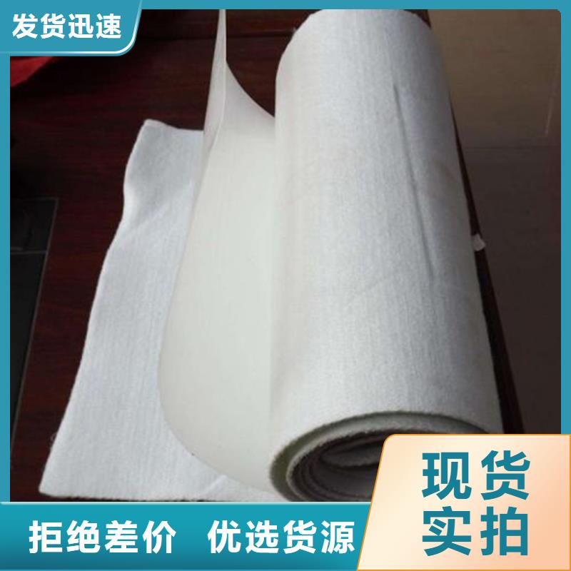 防渗土工布厂家市场代理厂家工艺先进