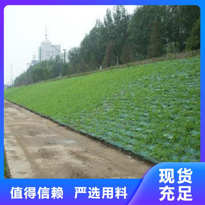 三维土工网垫-EM3三维土工网垫型号克重根据要求定制