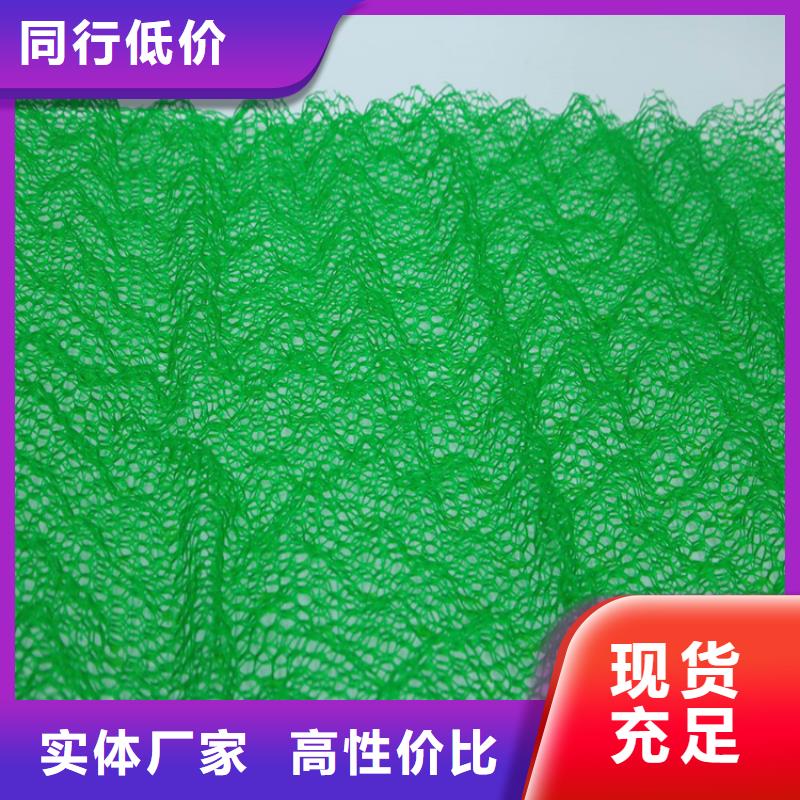 绿化护坡三维加筋土工网垫品质优选