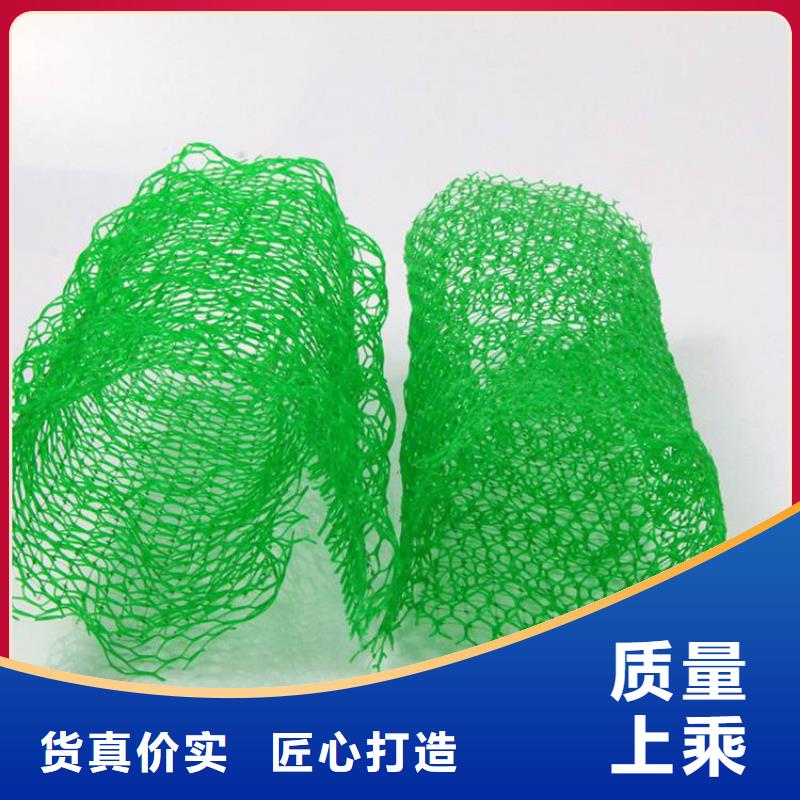 三维土工网垫#EM4边坡支持加工定制