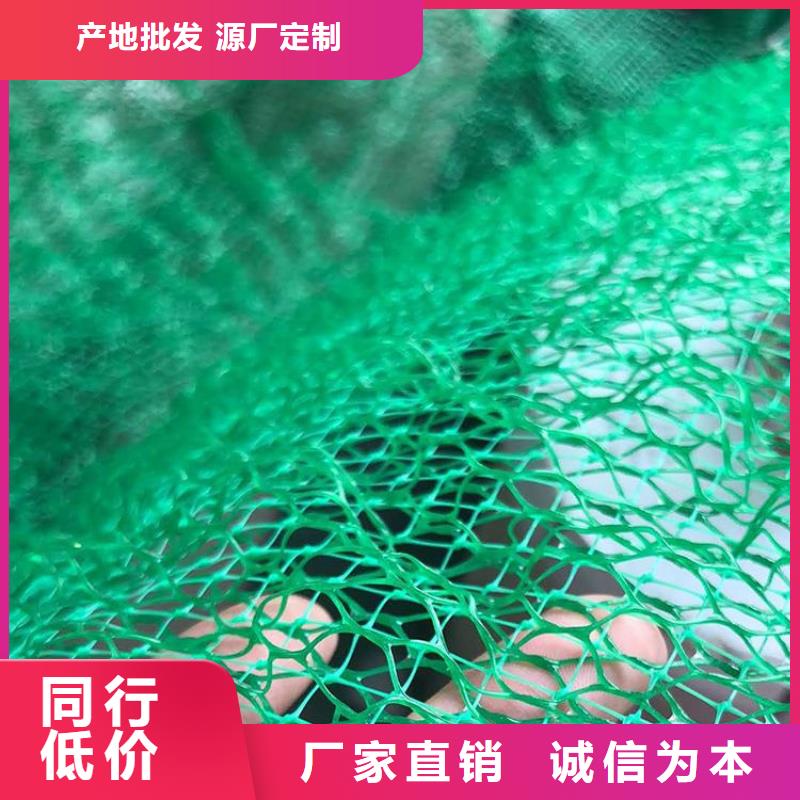 三维固土网垫-植被网价格公道合理