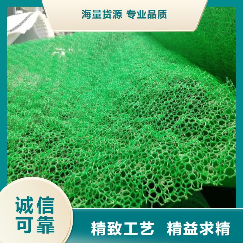 三维植被网生产厂家同城供应商