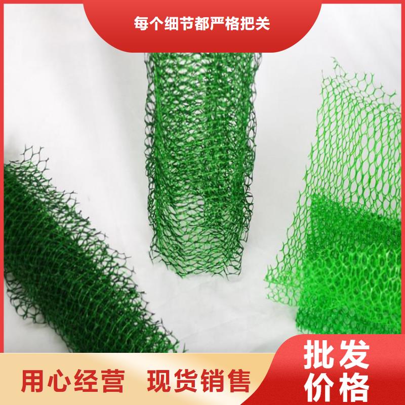 三维植被网#环保塑料本地生产厂家