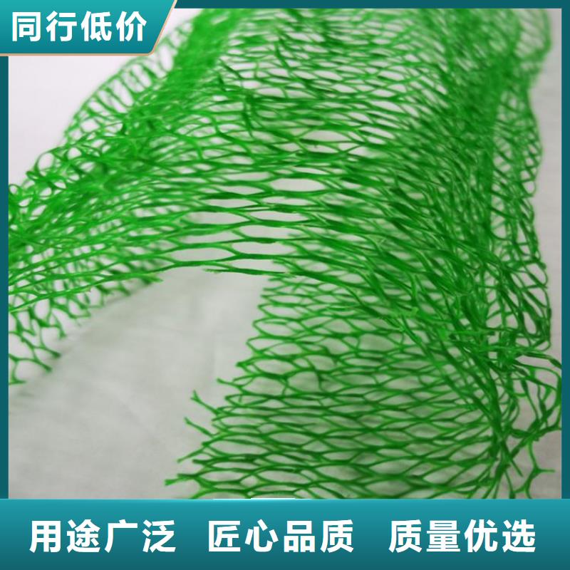 三维土工网垫精心