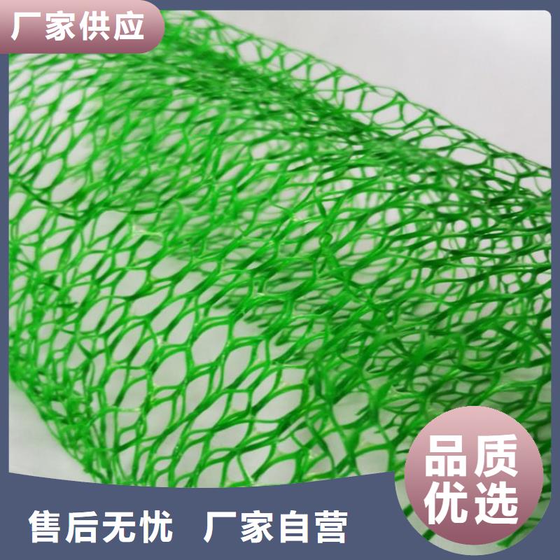 三维固土网垫颜色厂家货源