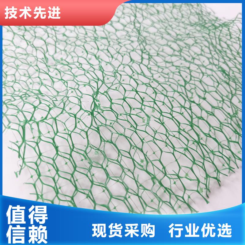 护坡加筋网垫-EM2三维土工网垫本地公司