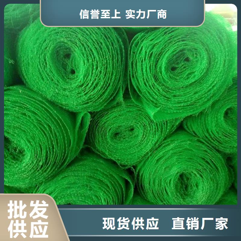 EM2EM5加筋护坡网垫认准大品牌厂家