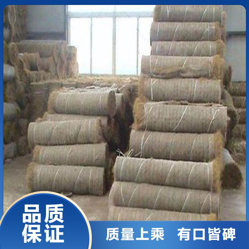 植物生态防护毯-抗冲椰丝毯优质货源