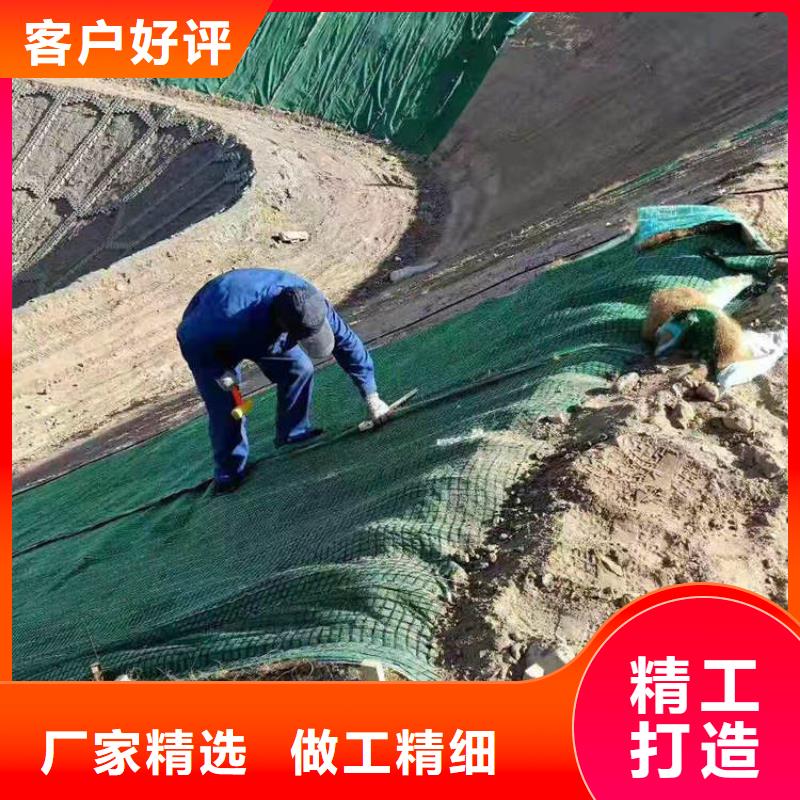 加筋抗冲生态毯诚信厂家本地生产厂家