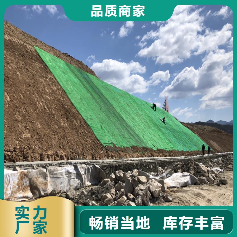 护坡植被植草毯-植物纤维毯本地经销商