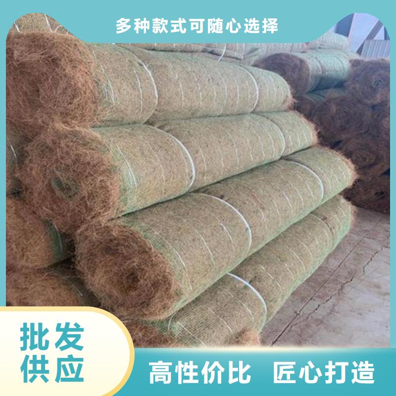 生态环保草毯-护坡植被植草毯-护坡植物纤维毯产地批发