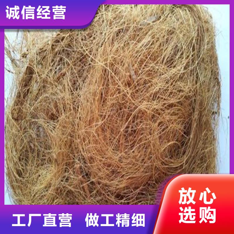 加筋抗冲生态毯当地生产厂家