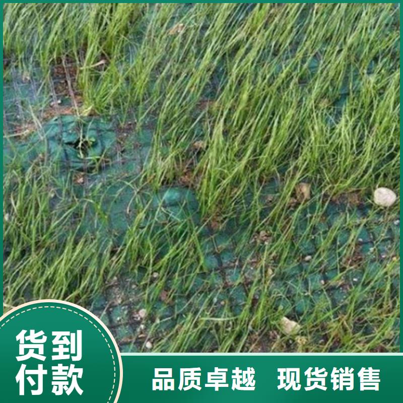 护坡植物纤维毯生态护坡毯款式新颖