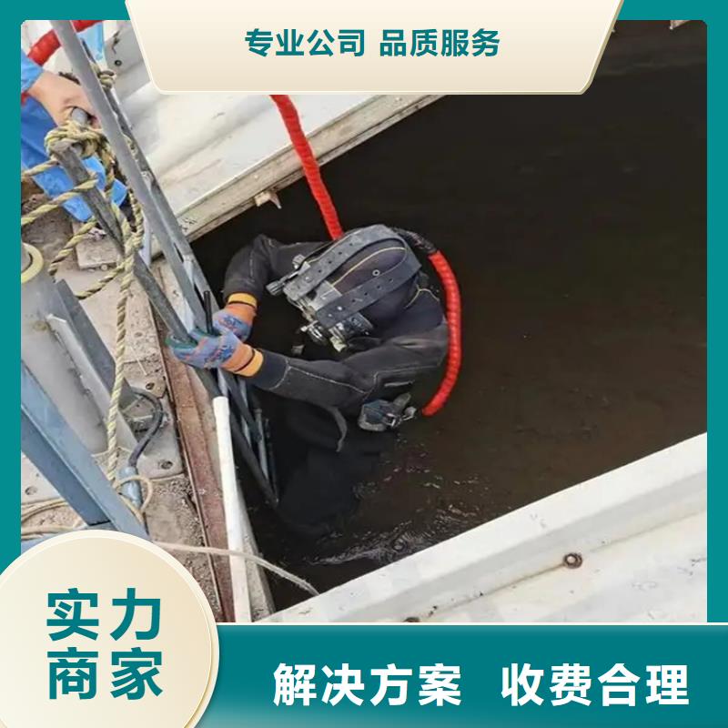 水下拍照摄像团队口碑公司