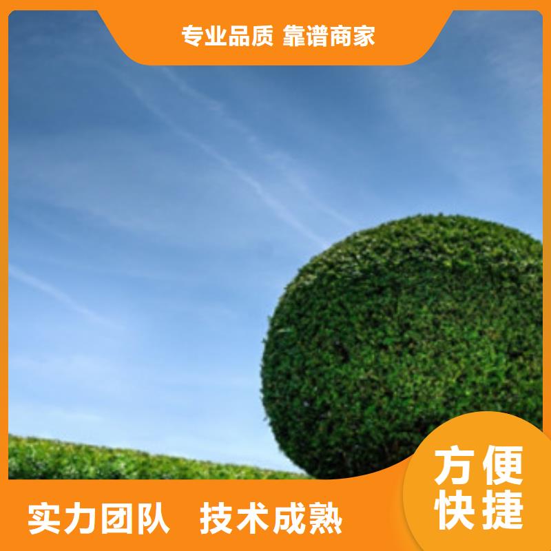 做工程预算-来电咨询/2025已更新注重质量