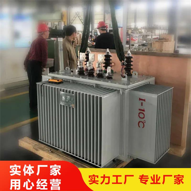 S20-m-100/10油浸式变压器优质品牌以质量求生存