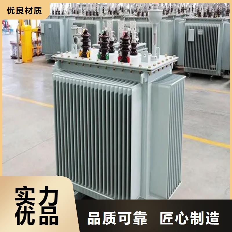 S13-m-1600/10油浸式变压器厂家量身定制本地供应商