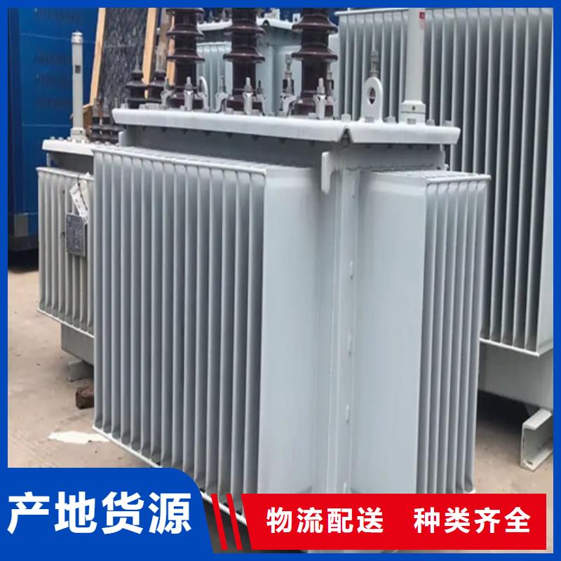 S13-m-160/10油浸式变压器行业品牌厂家现货销售